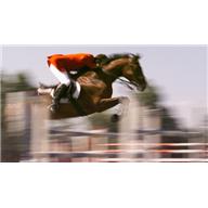 equestrian, show jumping, jumping, rider, horse